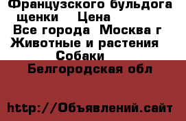 Французского бульдога щенки  › Цена ­ 35 000 - Все города, Москва г. Животные и растения » Собаки   . Белгородская обл.